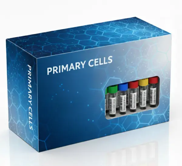 DBA/2 Mouse Splenocytes, 50M cells/vial